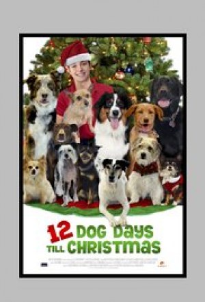 12 días para Navidad