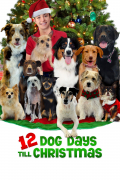 Película 12 Dog Days Till Christmas
