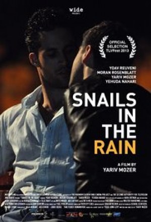 Snails in the Rain