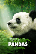Película Pandas