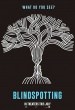 Blindspotting