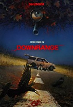 Blanco perfecto (Downrange)