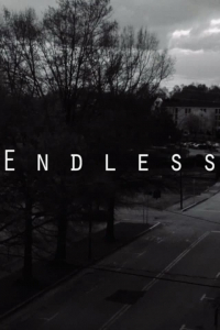 The Endless The Endless