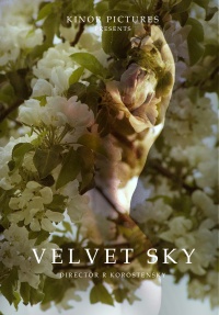 Velvet Sky