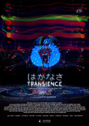 Transience