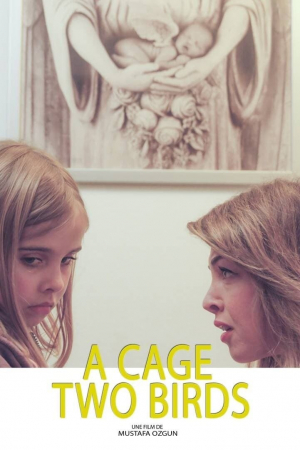 Une cage deux oiseaux Une cage deux oiseaux