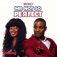 Mr. Not So Perfect