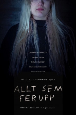Allt sem fer upp