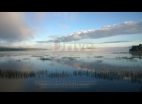 Drive