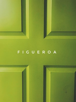 Figueroa Figueroa