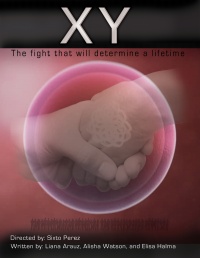 XY