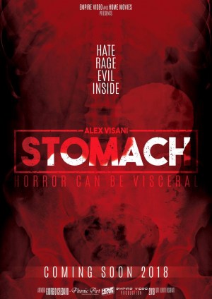 Stomach
