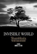 Invisible World