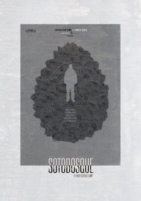 Sotobosque