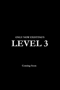 Level 3