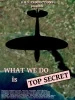 What We Do Is Top Secret