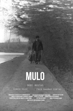Mulo