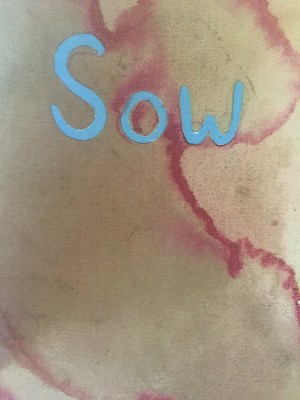 Sow