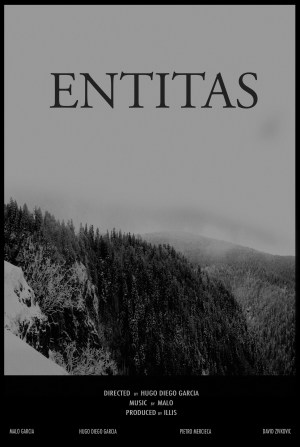 Entitas