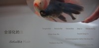 Soluble Fish