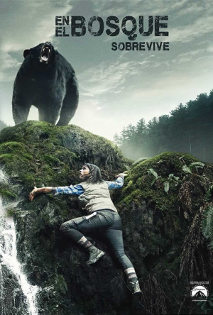 Into the Woods