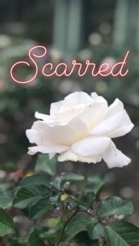 Scarred