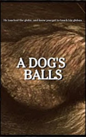 A Dog's Balls