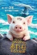 Piggy Bingbing