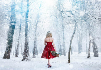 Mrs. Santa