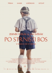 Po strnisti bos