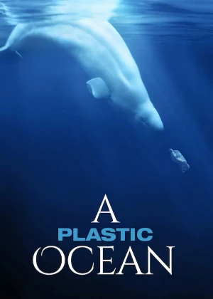 Un océano plástico