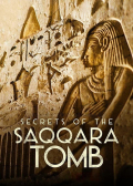 Película Secrets of the Saqqara Tomb