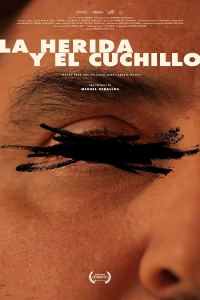 La herida y el cuchillo (Notas para un film sobre Emilio García Wehbi)