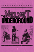 Película The Velvet Underground
