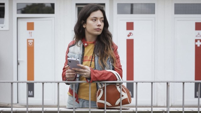 Girasoles silvestres