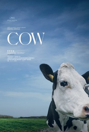 Vaca