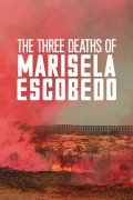 Película Las tres muertes de Marisela Escobedo