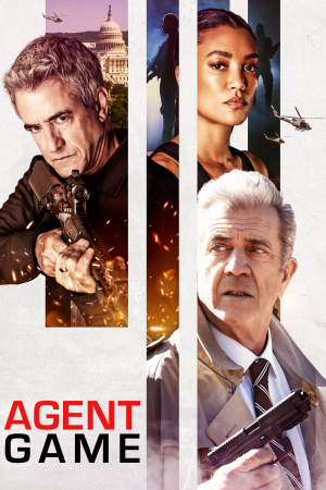 Agent Game Agent Game