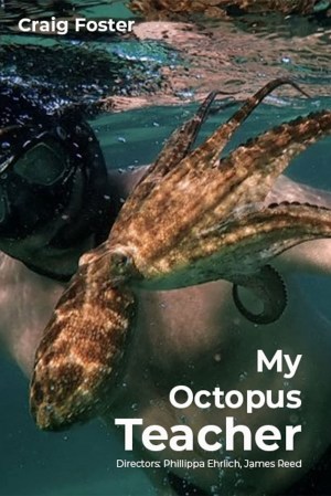 Lo que el pulpo me enseñó