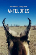Película Les Antilopes
