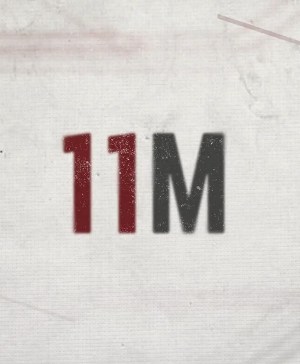 11M