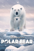 Película Polar Bear