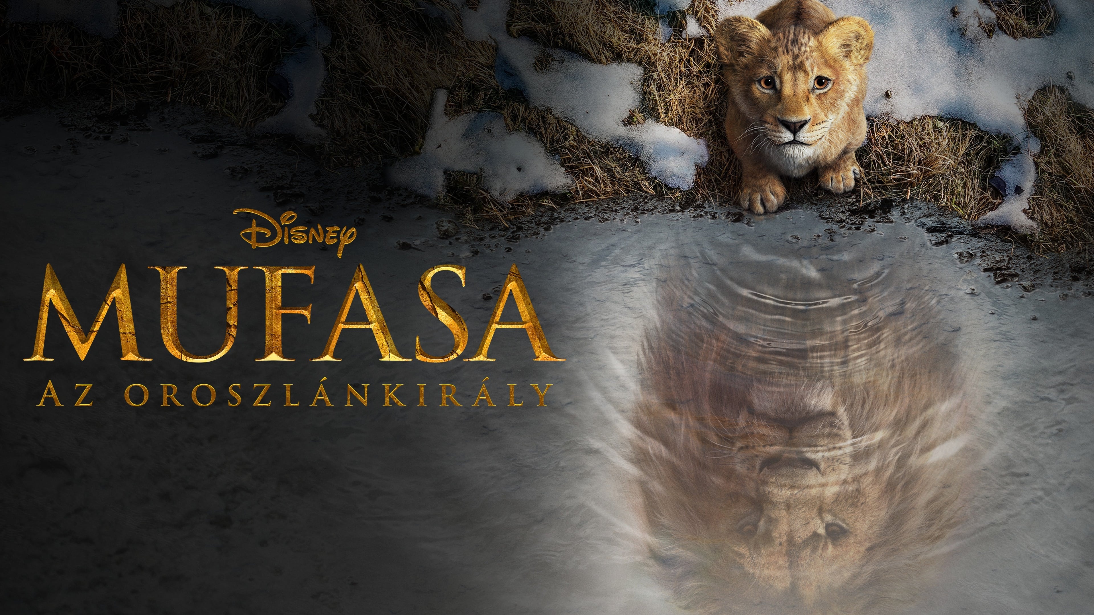 Mufasa The Lion King Película 2024