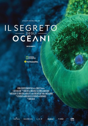 Ocean's Breath