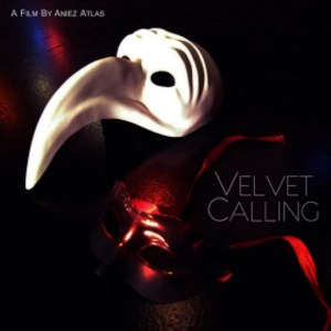Velvet Calling