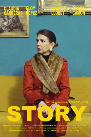 Story