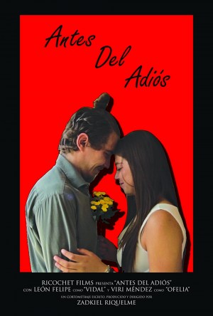 Antes del Adiós