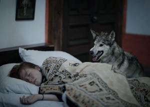 Orden Natural