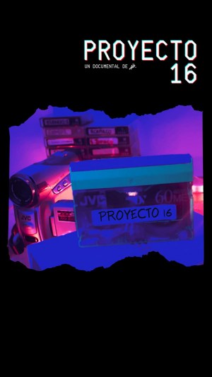 Proyecto 16