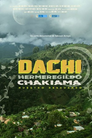 Dachi: Hermeregildo Chakiama